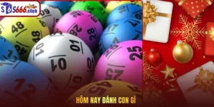 Hôm nay đánh con gì