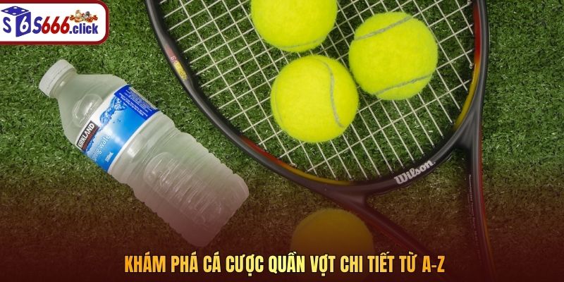 Khám phá cá cược Quần Vợt chi tiết từ A–Z