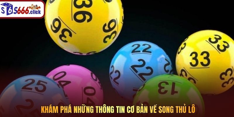 Khám phá những thông tin cơ bản về song thủ lô